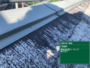 棟板金クギ頭コーキング施工完了