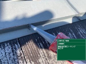 棟板金クギ頭コーキング施工中