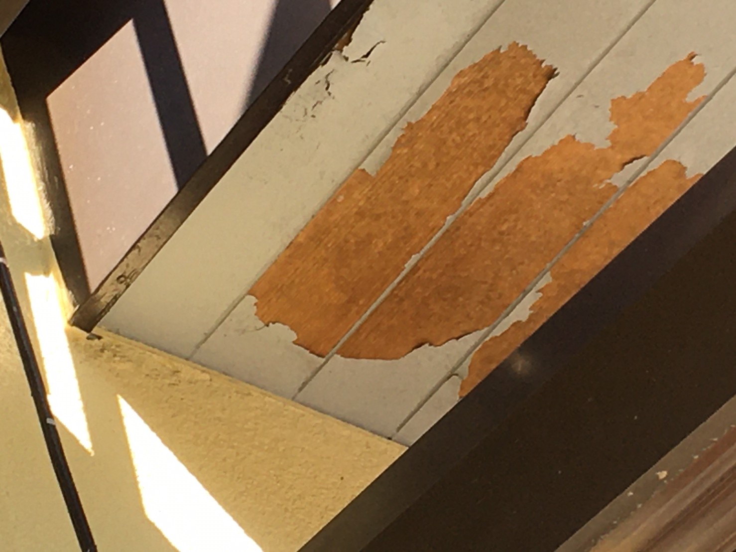 可児市鳩吹台、軒天井の塗膜の剥がれ