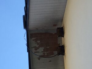 可児市鳩吹台、軒天井の塗膜の剥がれ