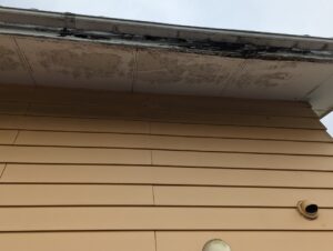 美濃加茂市西町、屋根の雨漏れ現調