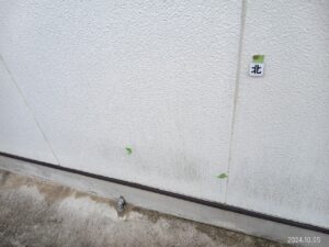 可児市大森、外壁にカビ・苔が付着しています