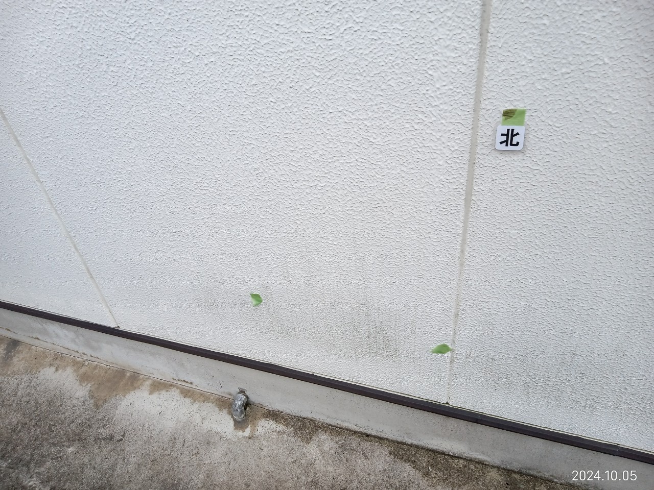 可児市大森、外壁にカビ・苔が付着しています