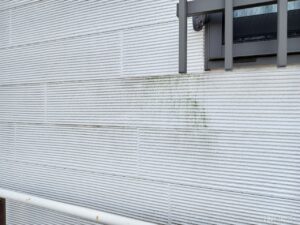 可児市土田、カビ苔が付着しています