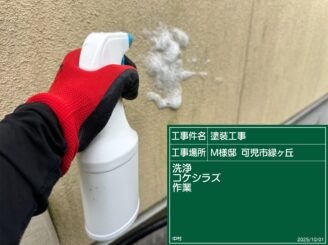 コケシラス噴霧（可児市緑ヶ丘）