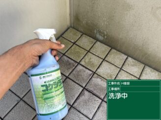アプローチ｜コケシラズ