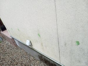 可児市緑ヶ丘、外壁材が湿気を帯びてカビ・苔が出てきています。
